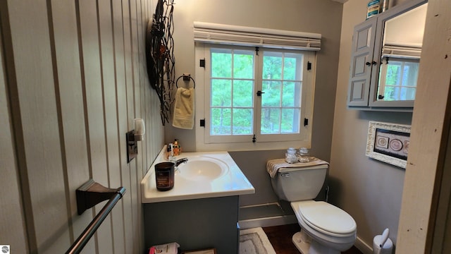 6875 Jose Lake Rd, South Branch, MI 48761 - bathroom featuring toilet, plenty of natural light, and vanity