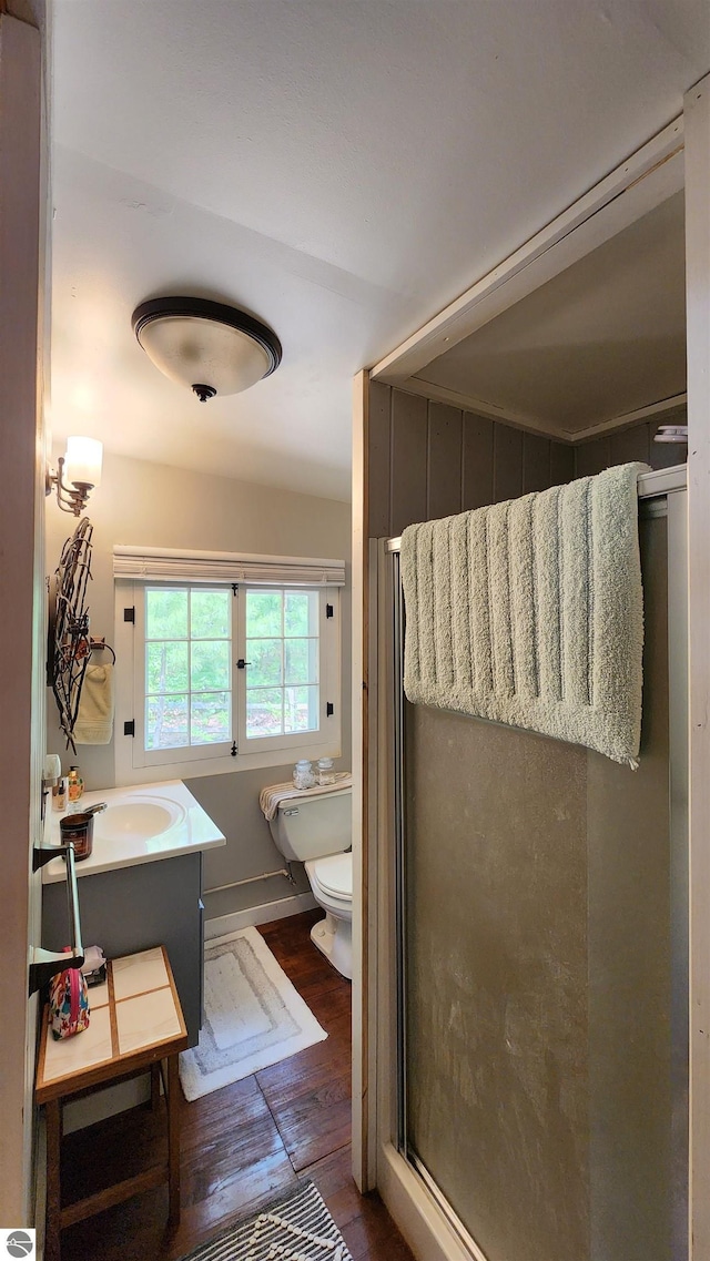 6875 Jose Lake Rd, South Branch, MI 48761 - full bathroom featuring wood finished floors, a stall shower, toilet, and vanity
