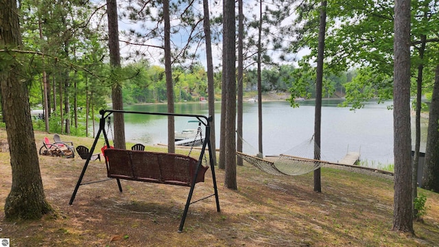6875 Jose Lake Rd, South Branch, MI 48761 - view of yard with a water view and a boat dock