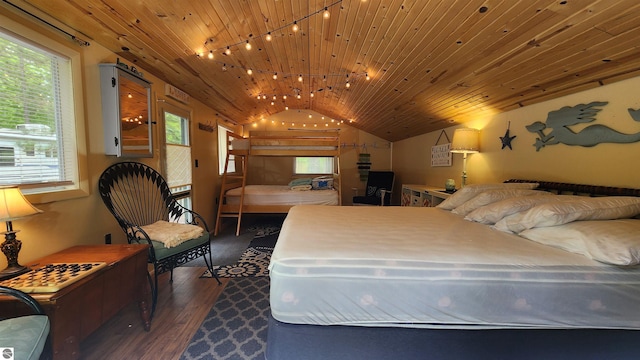 6875 Jose Lake Rd, South Branch, MI 48761 - bedroom with rail lighting, dark wood-style floors, multiple windows, vaulted ceiling, and wood ceiling