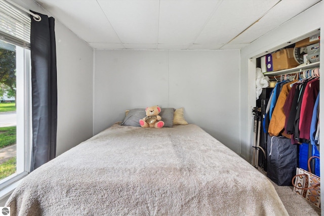 618 N River Ave, Alma, MI 48801 - bedroom with multiple windows, a closet, and carpet