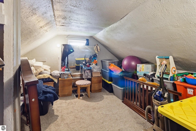 618 N River Ave, Alma, MI 48801 - additional living space featuring carpet, lofted ceiling, and a textured ceiling