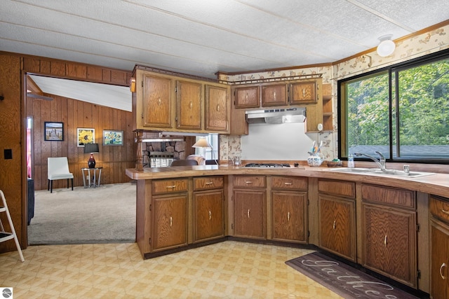 14501 Williams Dr, Elk Rapids, MI 49629 - kitchen featuring under cabinet range hood, light flooring, brown cabinets, a sink, and wooden walls