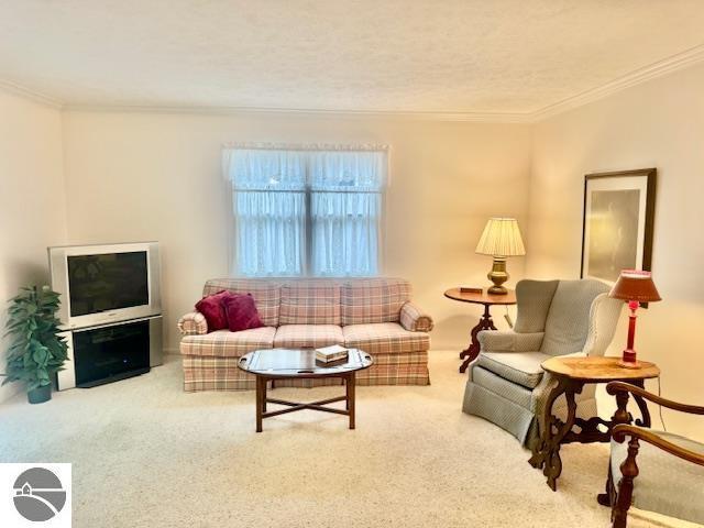 705 Eastgate Pl Unit 10 B, Traverse City, MI 49686 - living room with crown molding and carpet