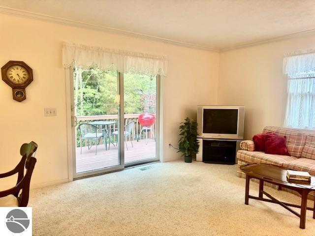 705 Eastgate Pl Unit 10 B, Traverse City, MI 49686 - living area with crown molding and carpet flooring