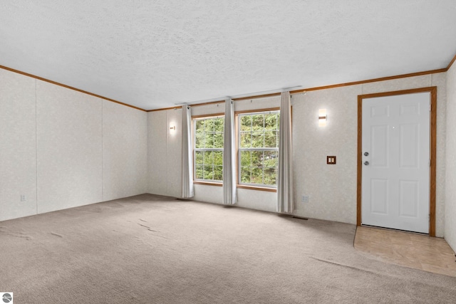 11748 NE Franklin St, Kalkaska, MI 49646 - carpeted spare room with crown molding and a textured ceiling