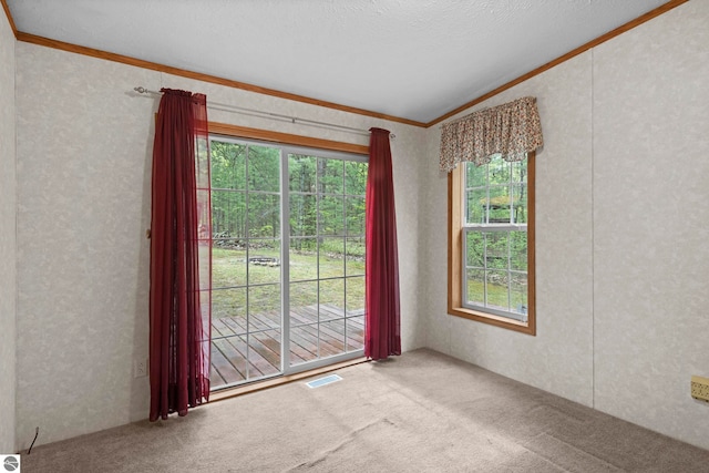 11748 NE Franklin St, Kalkaska, MI 49646 - spare room featuring ornamental molding, carpet flooring, and lofted ceiling
