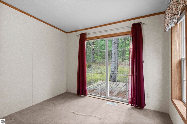 11748 NE Franklin St, Kalkaska, MI 49646 - empty room featuring ornamental molding and carpet floors
