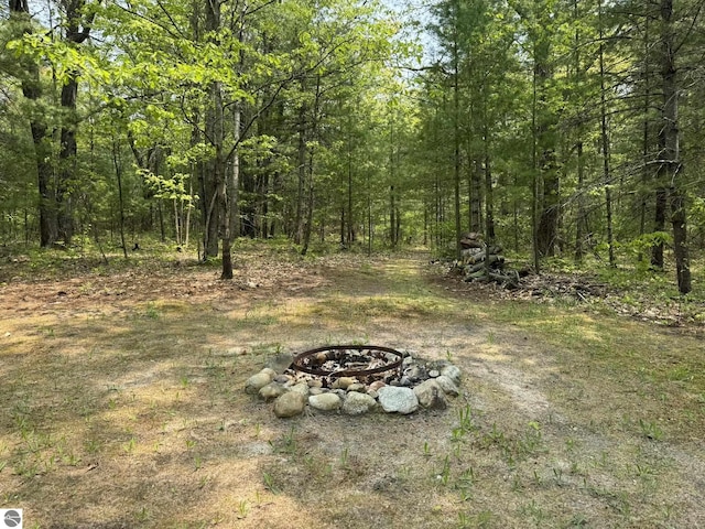11748 NE Franklin St, Kalkaska, MI 49646 - view of yard featuring a fire pit and a view of trees