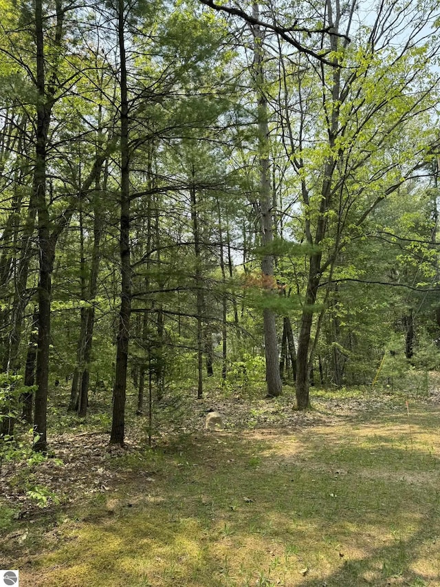 11748 NE Franklin St, Kalkaska, MI 49646 - view of tree filled area