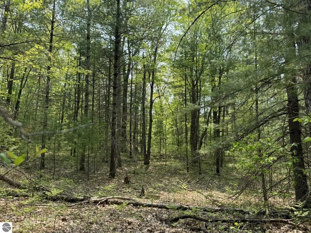 11748 NE Franklin St, Kalkaska, MI 49646 - view of tree filled area