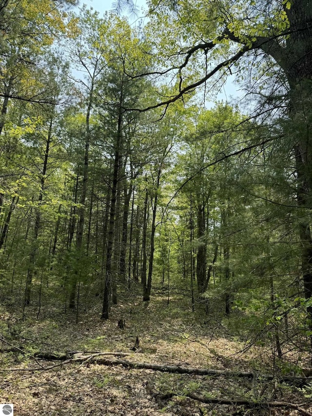 11748 NE Franklin St, Kalkaska, MI 49646 - view of tree filled area