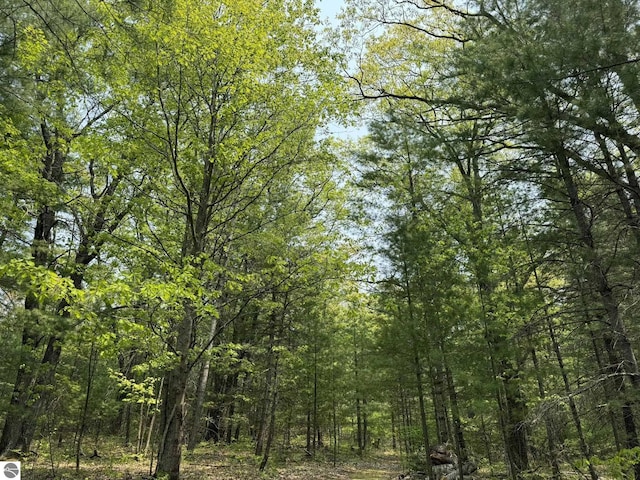 11748 NE Franklin St, Kalkaska, MI 49646 - view of woods