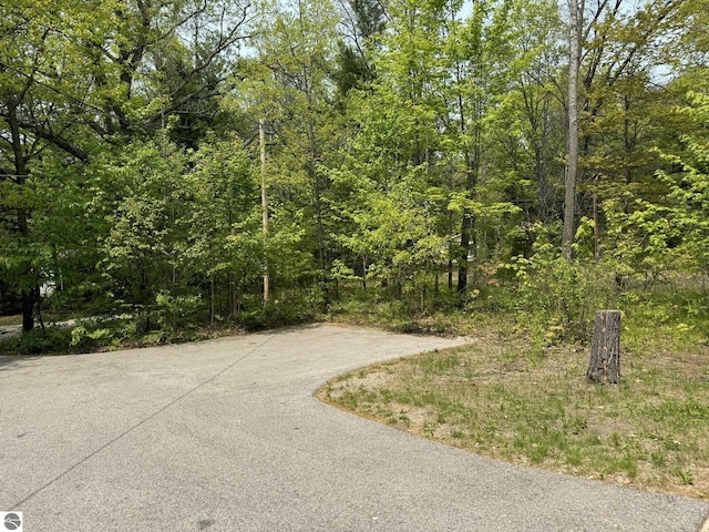 11748 NE Franklin St, Kalkaska, MI 49646 - view of street featuring a wooded view