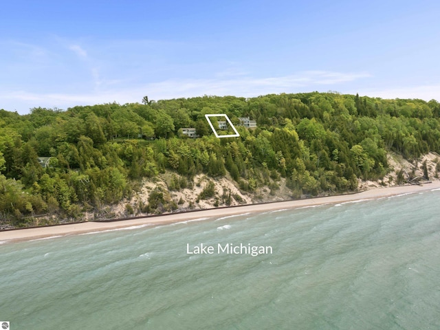 1884 Beech Rd, Frankfort, MI 49635 - water view featuring a heavily wooded area