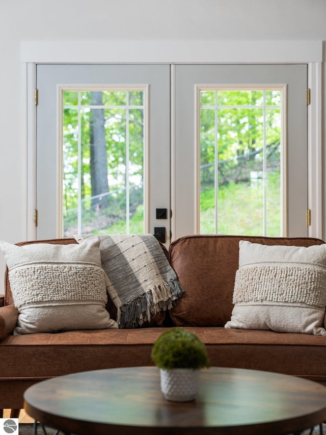 107 Hillcrest Ct, Traverse City, MI 49684 - living room featuring plenty of natural light