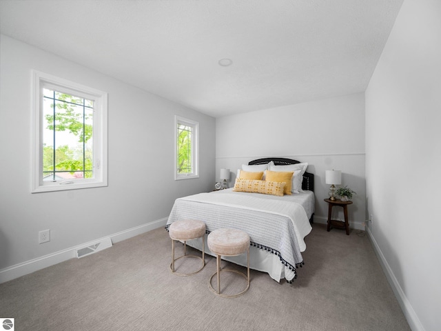 107 Hillcrest Ct, Traverse City, MI 49684 - bedroom with carpet and baseboards