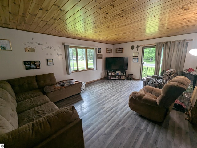 205 Fannie St, Au Gres, MI 48703 - living room featuring wood ceiling and wood finished floors