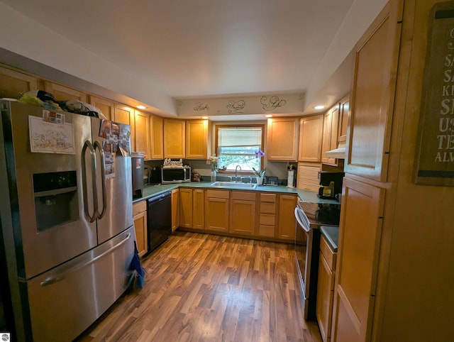 205 Fannie St, Au Gres, MI 48703 - kitchen featuring stainless steel appliances, a sink, light wood finished floors, and under cabinet range hood