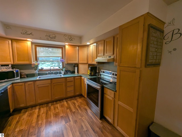 205 Fannie St, Au Gres, MI 48703 - kitchen with stainless steel appliances, under cabinet range hood, a sink, and light wood-style floors