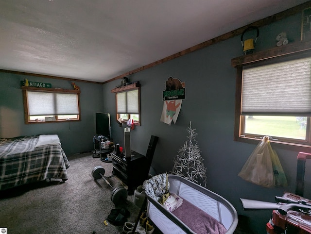 205 Fannie St, Au Gres, MI 48703 - bedroom with carpet floors and an office area