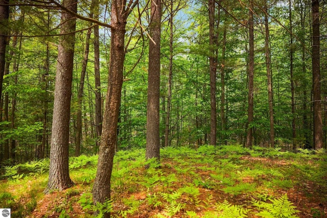 1631 Melody Ln, Interlochen, MI 49643 - view of tree filled area