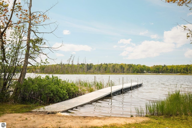 1631 Melody Ln, Interlochen, MI 49643 - dock featuring a water view and a wooded view