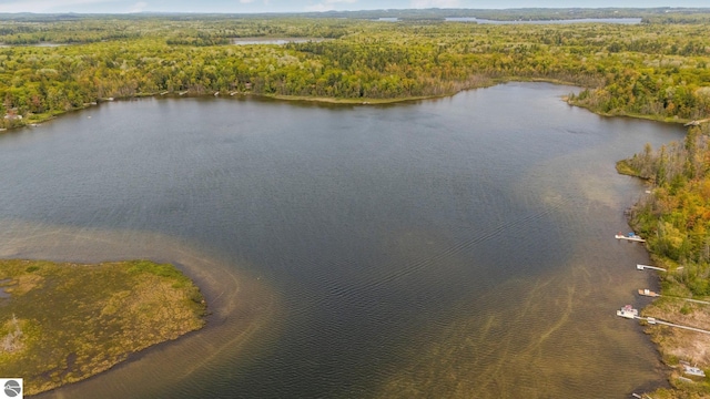1631 Melody Ln, Interlochen, MI 49643 - bird's eye view of a heavily wooded area and a large body of water