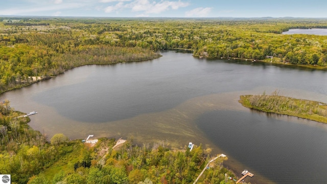 1631 Melody Ln, Interlochen, MI 49643 - drone / aerial view of a forest and a nearby body of water