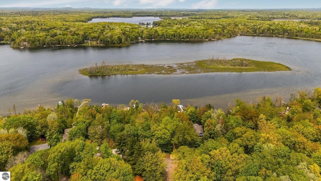 1631 Melody Ln, Interlochen, MI 49643 - aerial view of a heavily wooded area and a large body of water