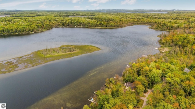1631 Melody Ln, Interlochen, MI 49643 - drone / aerial view of a forest and a nearby body of water
