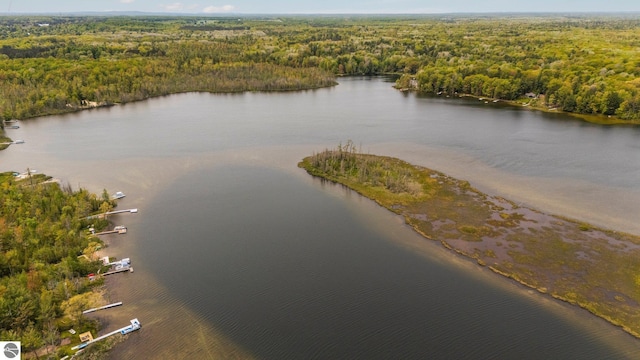1631 Melody Ln, Interlochen, MI 49643 - aerial view of a heavily wooded area and a nearby body of water