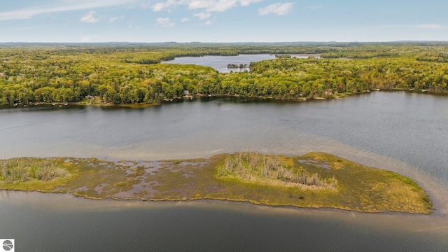 1631 Melody Ln, Interlochen, MI 49643 - drone / aerial view of a forest and a nearby body of water