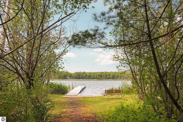 1631 Melody Ln, Interlochen, MI 49643 - dock area with a water view and a wooded view
