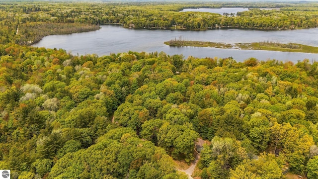 1631 Melody Ln, Interlochen, MI 49643 - drone / aerial view of a heavily wooded area and a nearby body of water