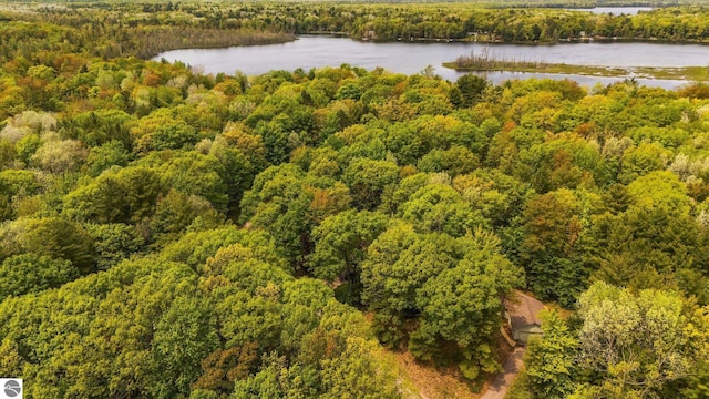 1631 Melody Ln, Interlochen, MI 49643 - bird's eye view of a forest and a large body of water