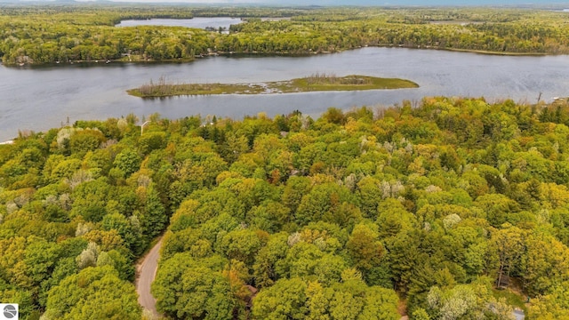 1631 Melody Ln, Interlochen, MI 49643 - bird's eye view of a forest and a nearby body of water