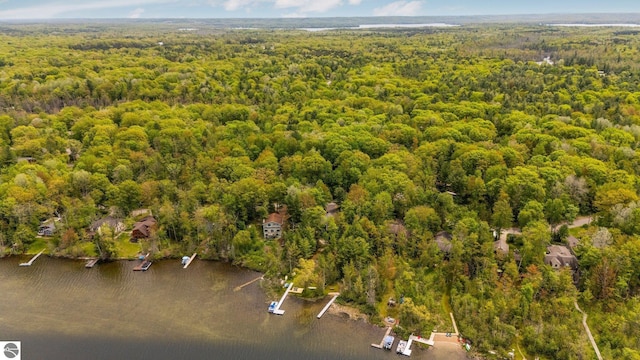 1631 Melody Ln, Interlochen, MI 49643 - bird's eye view of a heavily wooded area and a large body of water