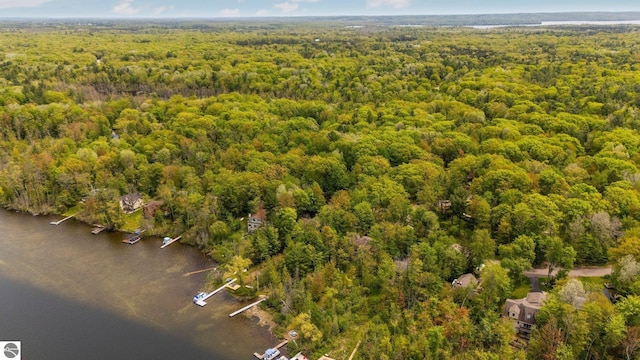 1631 Melody Ln, Interlochen, MI 49643 - drone / aerial view of a forest
