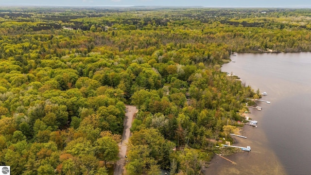 1631 Melody Ln, Interlochen, MI 49643 - aerial view of a forest and a large body of water