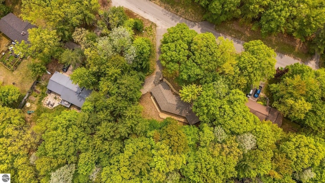 1631 Melody Ln, Interlochen, MI 49643 - aerial view