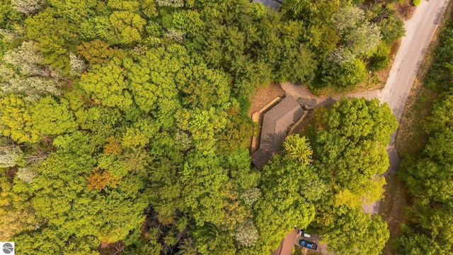 1631 Melody Ln, Interlochen, MI 49643 - drone / aerial view