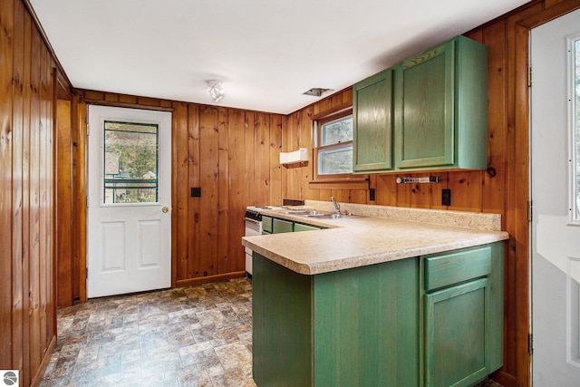 3131 Herron Rd, Frankfort, MI 49635 - kitchen with green cabinets, a sink, wood walls, light countertops, and stone finish floors