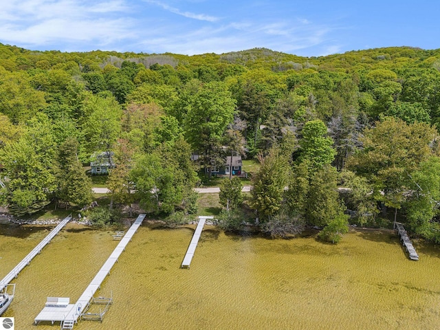 3131 Herron Rd, Frankfort, MI 49635 - drone / aerial view of a heavily wooded area
