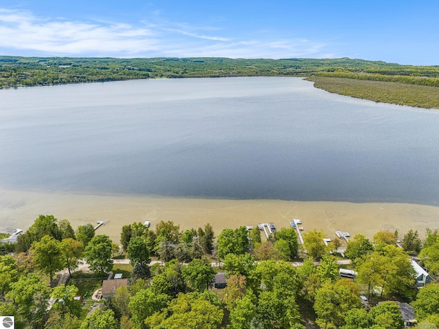 3131 Herron Rd, Frankfort, MI 49635 - aerial view of a large body of water