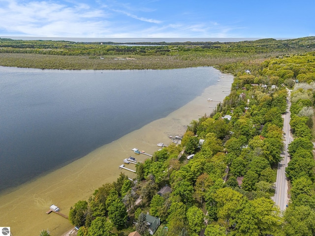 3131 Herron Rd, Frankfort, MI 49635 - bird's eye view of a nearby body of water