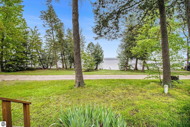 3131 Herron Rd, Frankfort, MI 49635 - view of green lawn featuring a water view