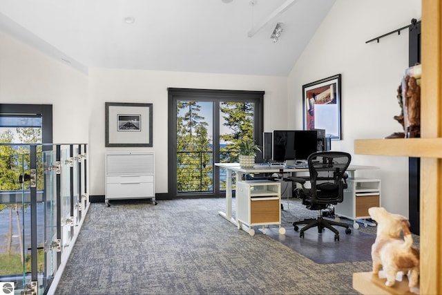 9371 Onominese Trl, Northport, MI 49670 - home office with high vaulted ceiling