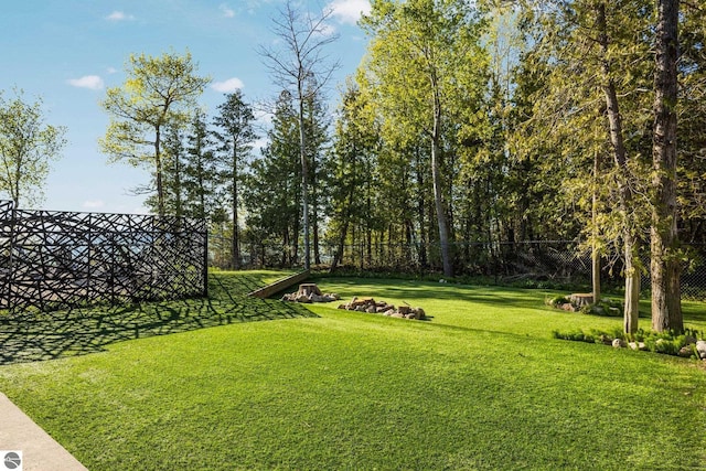 9371 Onominese Trl, Northport, MI 49670 - view of yard