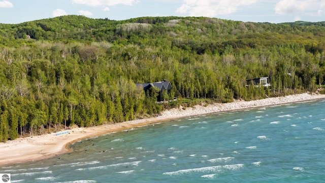 9371 Onominese Trl, Northport, MI 49670 - view of property location featuring a forest and extended coastline